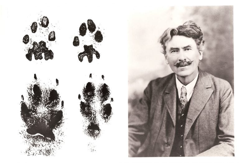 Ernest Thompson Seton | Pioneer of Boy Scouts