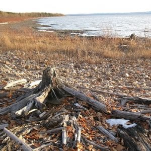 Lesser Slave Lake Provincial Park