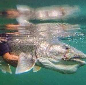 World’s Best Fishing Spot