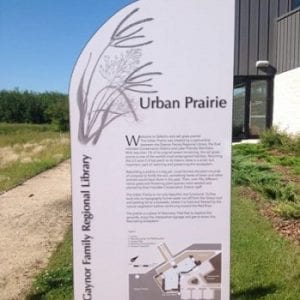 Urban Prairie