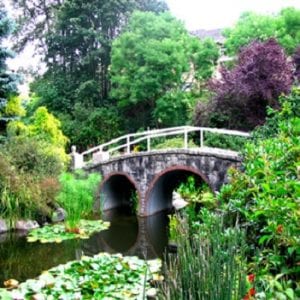 Glenbrook Ravine Park
