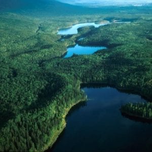 Heather – Dina Lakes