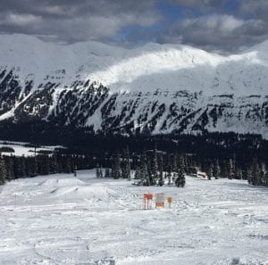 Powder King, “Whistler of the North”