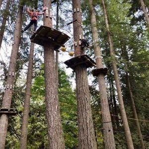 WildPlay Element Park