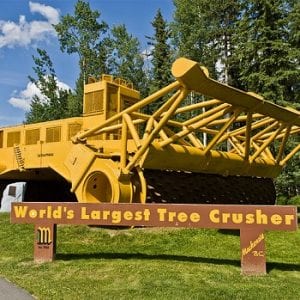 Mackenzie Tree Crusher