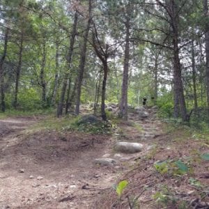 Ancient Beach Trailhead