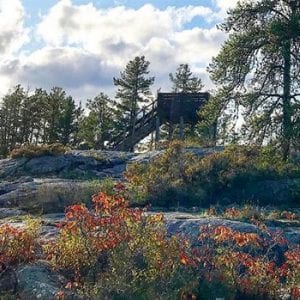 Blueberry Rock Hiking Trail
