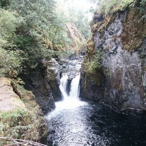 Englishman River Falls Provincial Park
