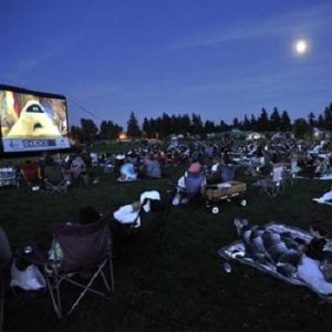 Cinema Under the Stars