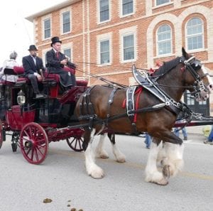 Annual Horse and Hound Parade