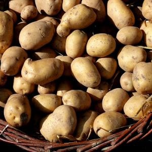 “King Spud Country”