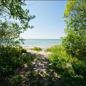 A.K. Sculthorpe Marsh | Waterfront trail