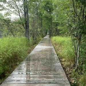 Daly Point Nature Reserve