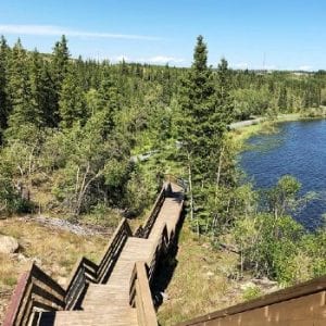 Flinty’s Boardwalk Hike