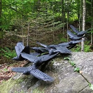 Haliburton Sculpture Forest