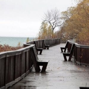 Hen & Chickens Boardwalk