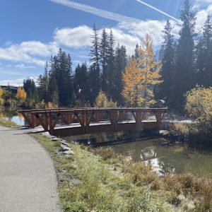 Policeman’s Creek Boardwalk