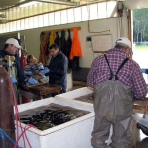 Salmonid Enhancement Centre
