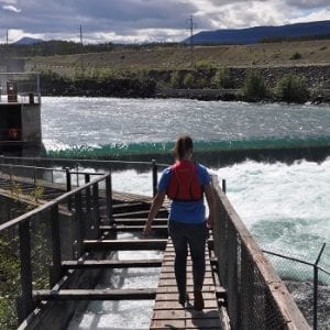 Whitehorse Fishladder & Hatchery