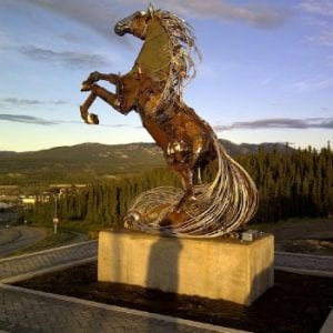 Whitehorse Horse