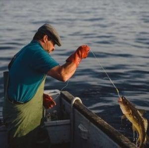 Fishing for Success