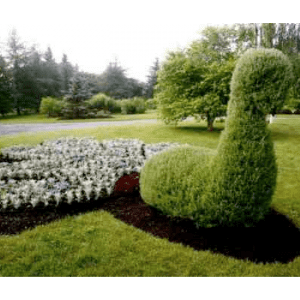 Jardin Botanique du Nouveau Brunswick
