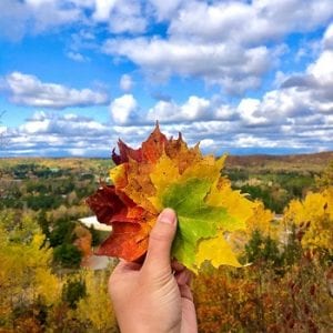 Panorama Park Lookout