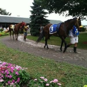 Fort Erie Race Track