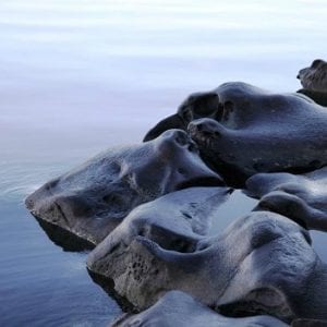 Roberts Memorial Provincial Park