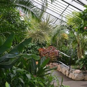 Centennial Conservatory
