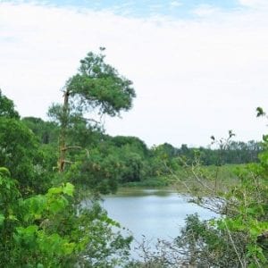 Dalewood Conservation Area