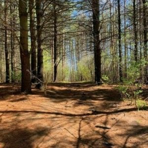 Dumfries Conservation Area