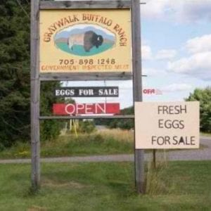 Graywalk Buffalo Ranch