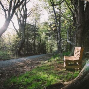 Amherst Point Bird Sanctuary