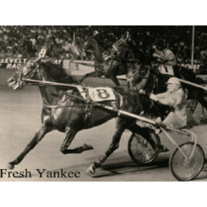 Home Town of Harness Horseman Joe O’Brien