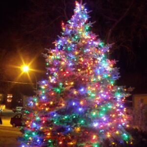 Night of Lights Tree Lighting