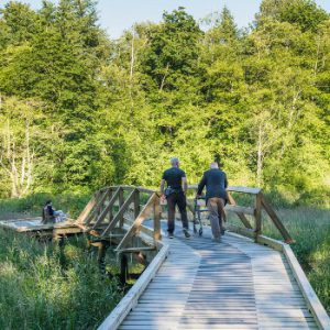 Campbell Valley Regional Park