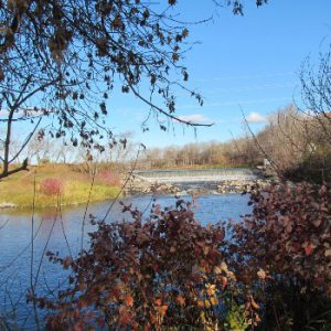 Birtle Riverside Campground