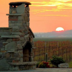 Holland Marsh Wineries