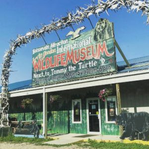 Irvin Goodon International Wildlife Museum
