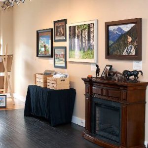 Launstein Imagery Wildlife Art Gallery