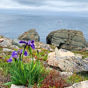 Most Road-Trippable Town in Canada