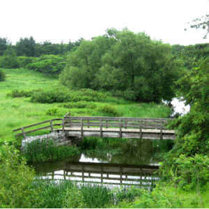 Scanlon Creek Conservation Area
