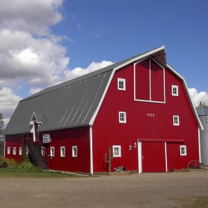 Whooo’s That? Costume Rentals