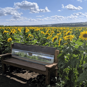 Bowden Sun Maze & Eagle Creek Farms