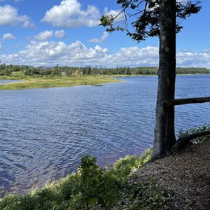 Deer Lake Nature Trails
