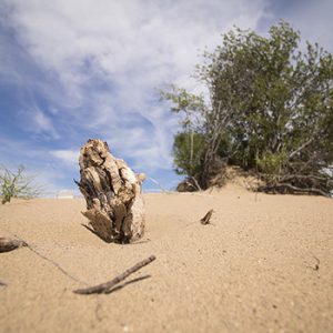Douglas Provincial Park