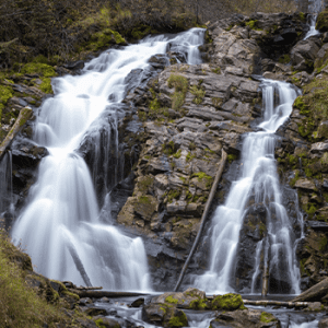 Fairy Creek Falls