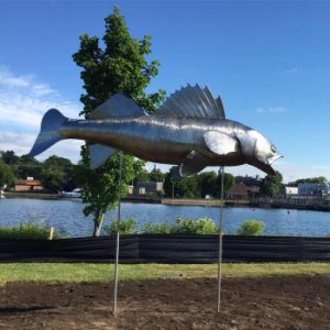 Hastings Pisces Park