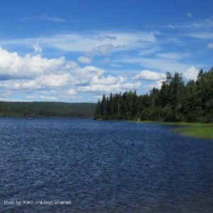 Moose Lake Recreation Site
